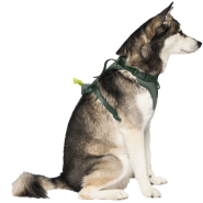 Canada Pooch Core Everything Harness w/PoopBagDspnsr Grn S