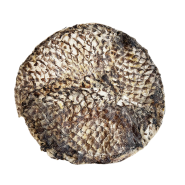 Open Range Tilapia Furs-Bee