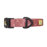 Dog Collars and Accessories