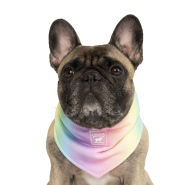 Canada Pooch Cooling Bandana Rainbow Size S