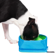 Canada Pooch Cooling Bowl Blue O/S