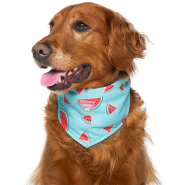 Canada Pooch Chill Seeker Cooling Bandana Watermelon Size M