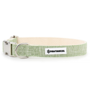 Dog Collars and Accessories