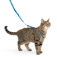 Cat Harnesses and Leashes