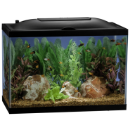 Aquarium Kits