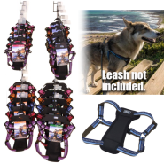 K9 Explorer Six Color Harness Display