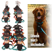 K9 Explorer Brights Five Color Harness Display