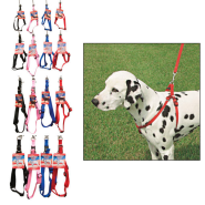 Comfort Wrap Nylon Harness Display 4 colors